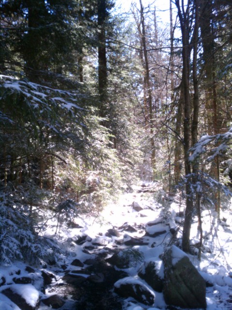 snow and ice on mount rogers 2